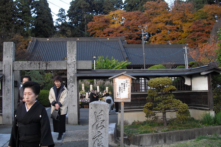 2010111102.JPG