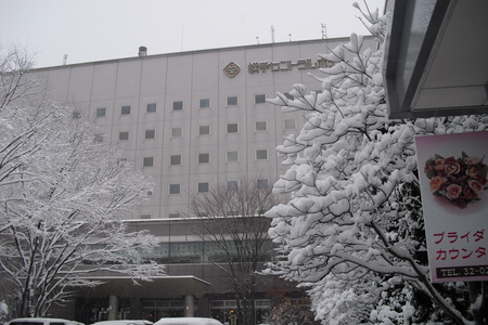 201012121.JPG