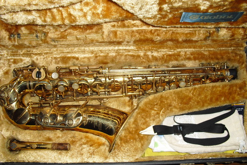 20114131.JPG