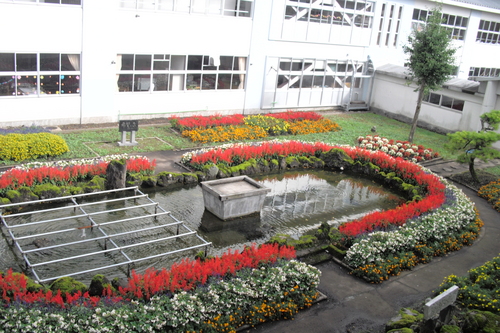 2011101 (4).JPG