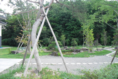 201110241 (2).JPG