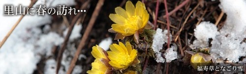 20123311.jpg