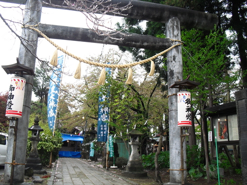 2012551 (11).JPG