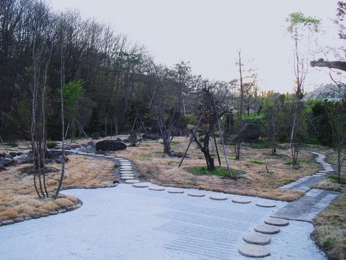 2012571.JPG