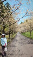 飯塚雅幸＆藤間知枝の「太田の黄桜」超ミニ旅行です。　
