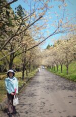 飯塚雅幸＆藤間知枝の「太田の黄桜」超ミニ旅行です。　
